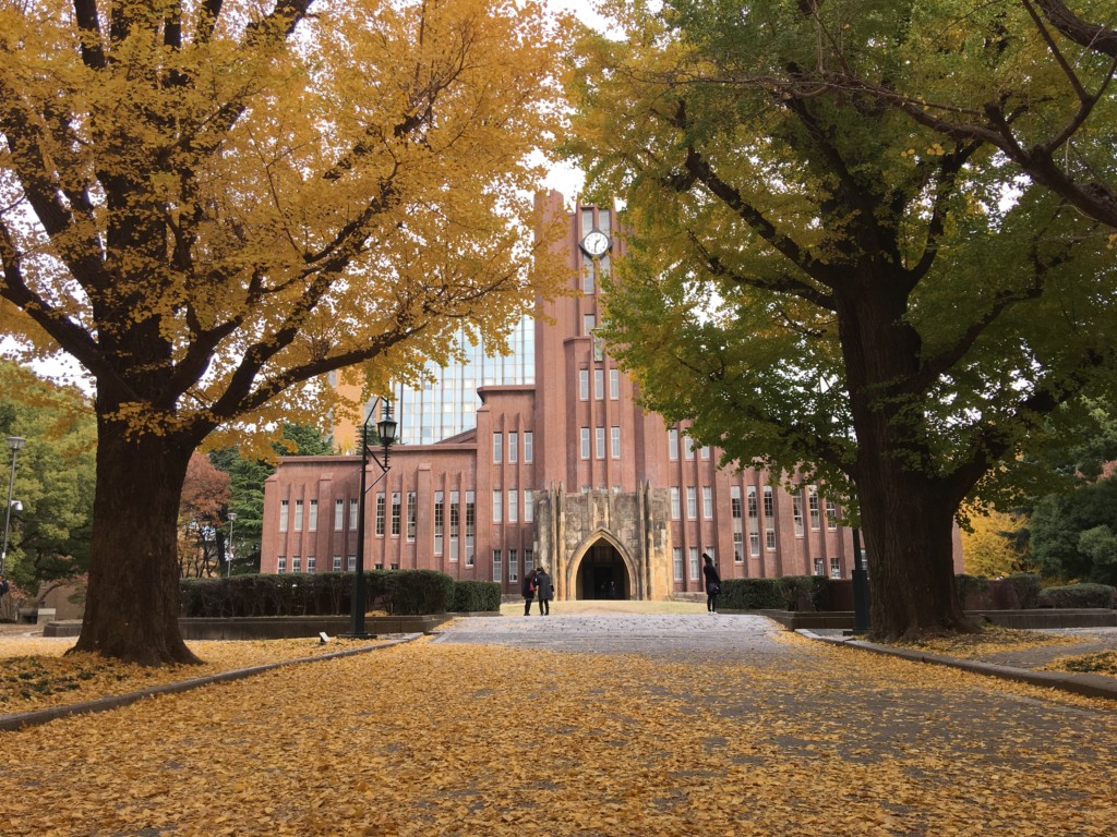 地域gtld 地域を意味するドメイン Tokyo Yokohama Nagoya Kyoto Osaka Okinawa Ryukyu